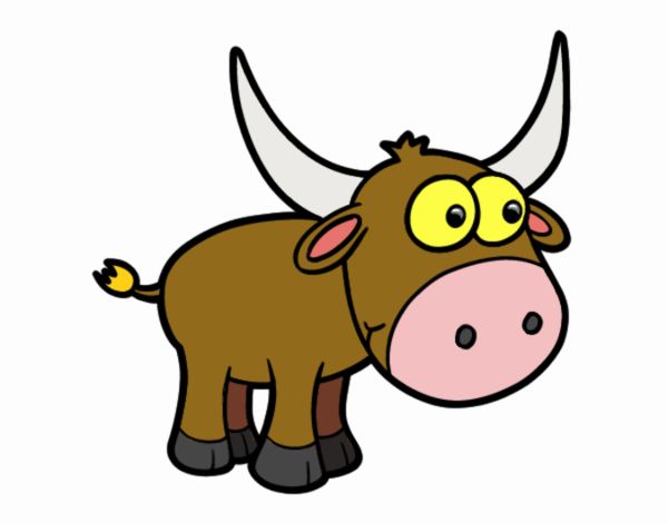 Torito