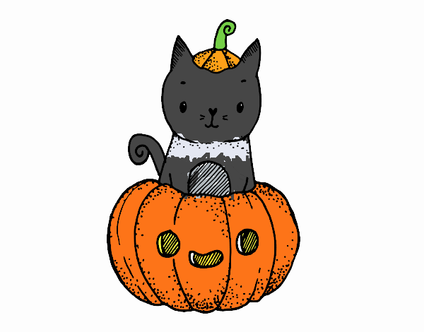 Un gatito de Halloween