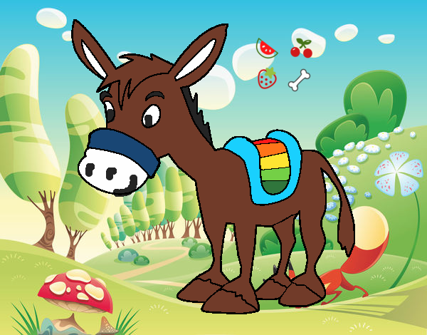 Burro de granja