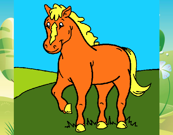 Caballo 4