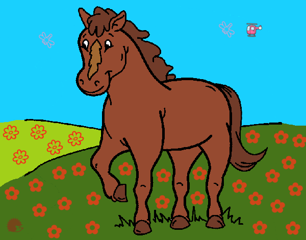 Caballo 4