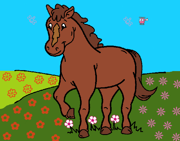 Caballo 4