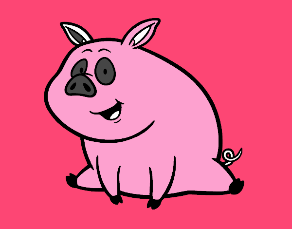 Cerdito de granja