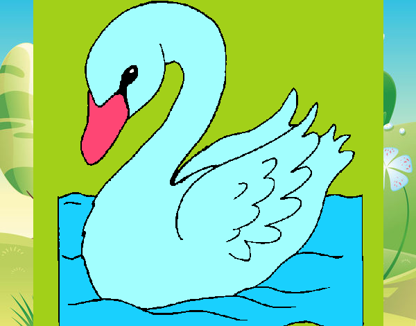 Cisne