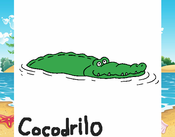 Cocodrilo 2