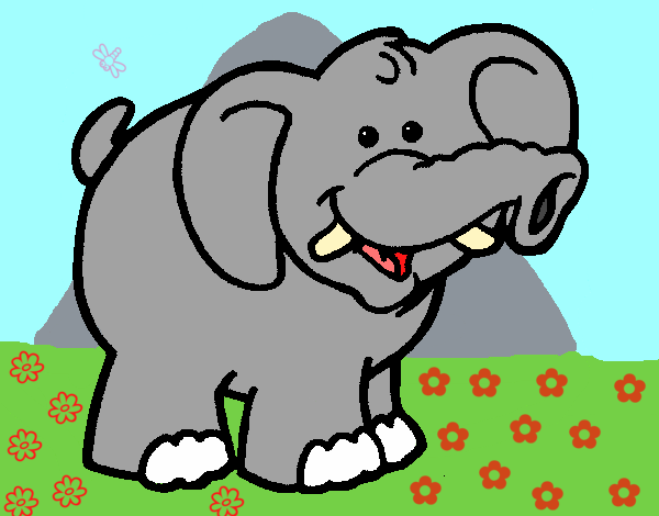 Elefante 6