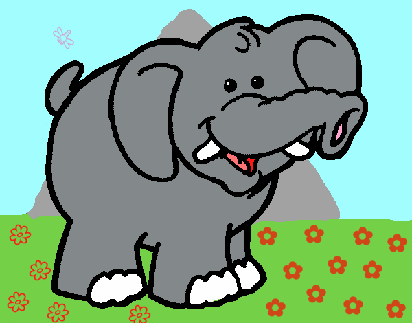 Elefante 6