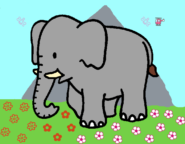 Elefante bebe