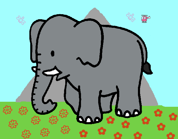 Elefante bebe