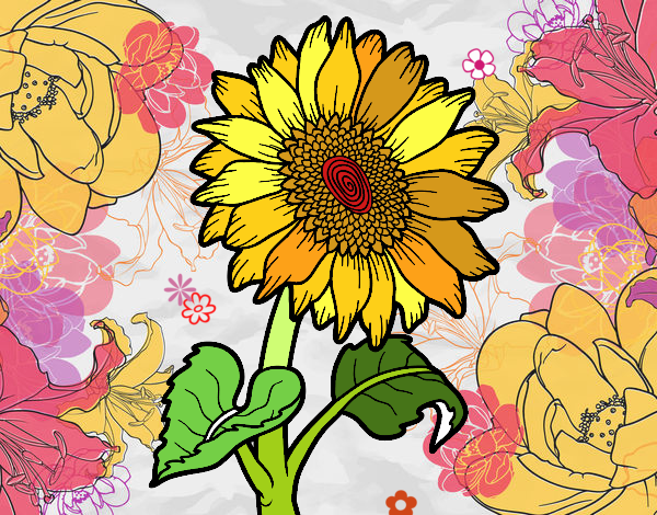 Flor de girasol