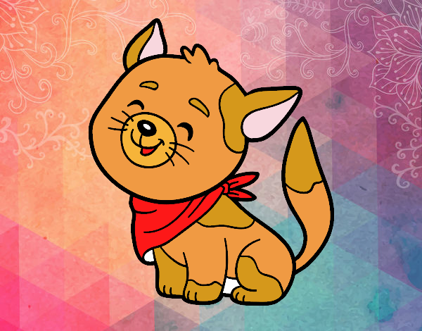 Gato con bandana