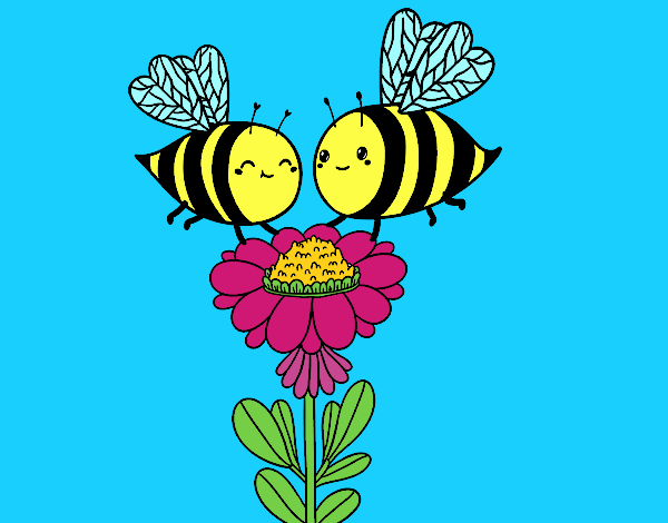 Pareja de abejas