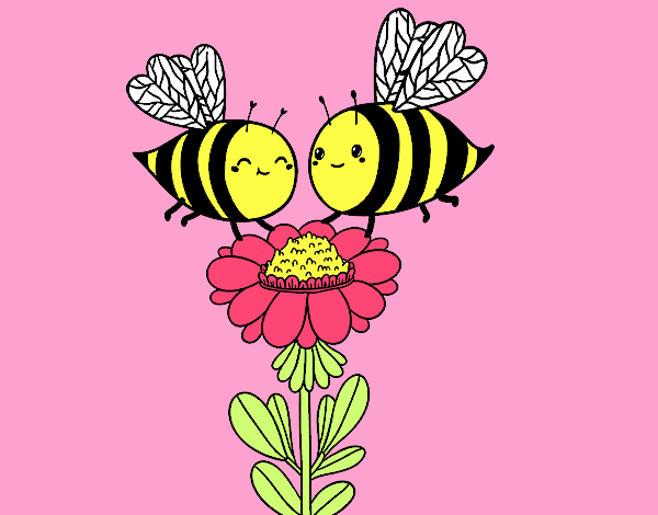 Pareja de abejas