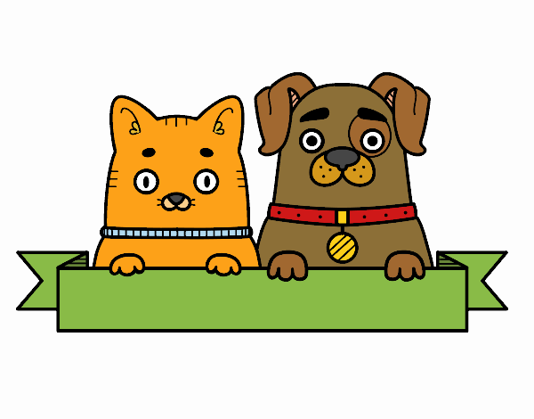 Perrito y gatito