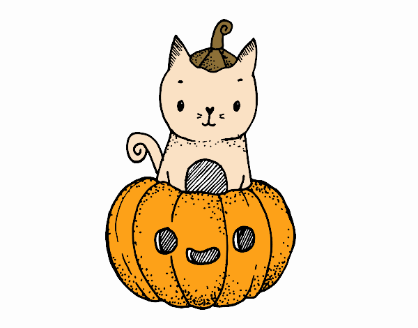 Un gatito de Halloween