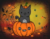 Un gatito de Halloween