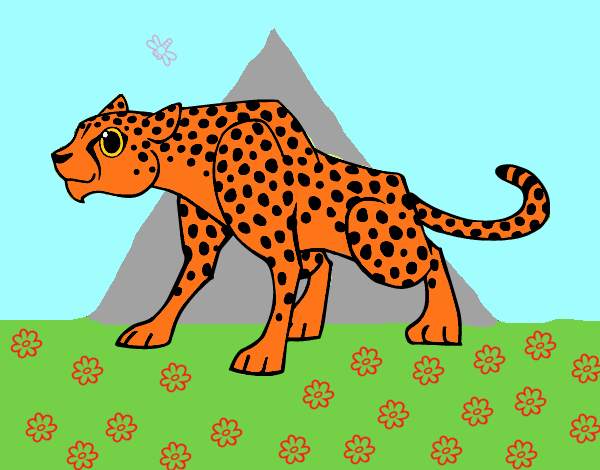 Un leopardo