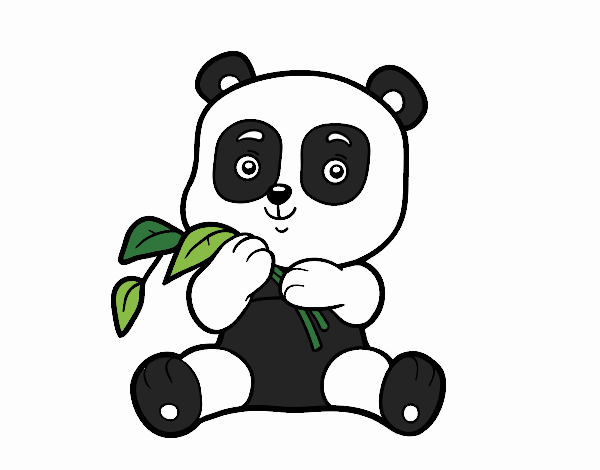 Un oso panda