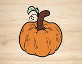 Una calabaza cucurbita