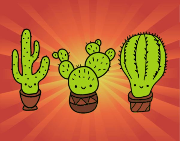 3 mini cactus