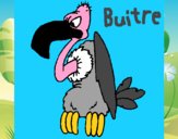 Buitre