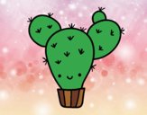 Cactus nopal