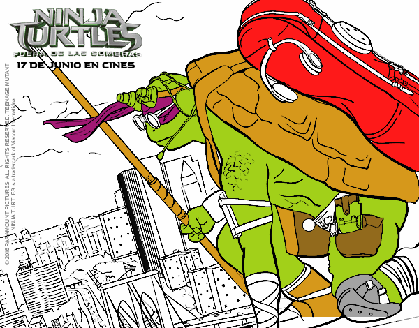 Donatello de Ninja Turtles