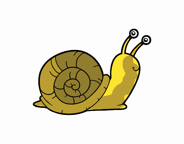 El caracol