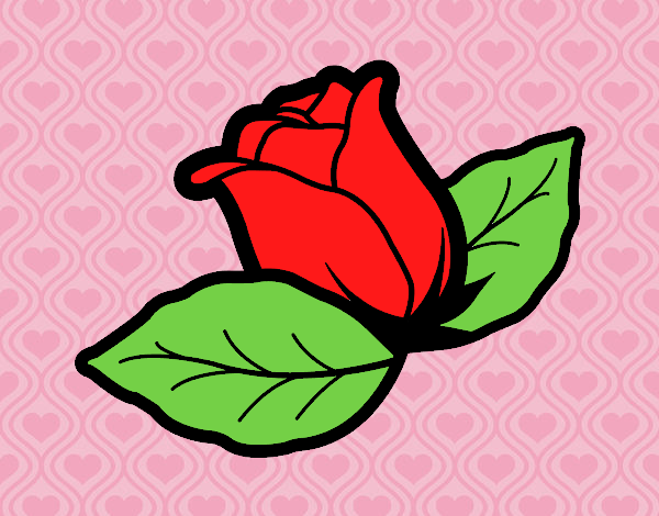 la rosa