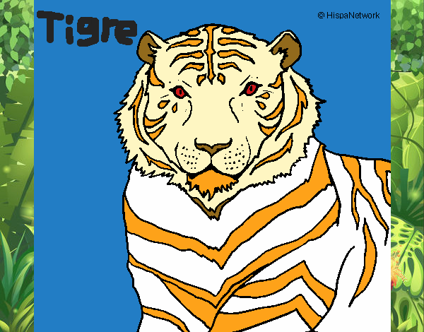 Tigre 3