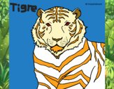 Tigre 3