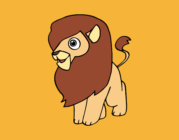 Un león