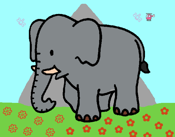 Elefante bebe