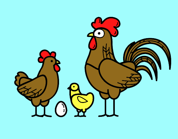 Familia gallina