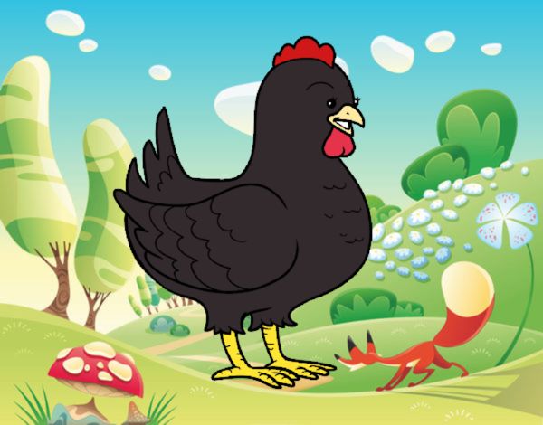 Gallina de una granja