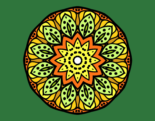 Mandala naturaleza