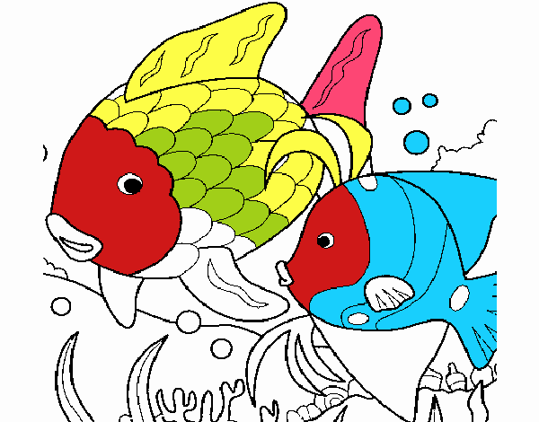 Peces