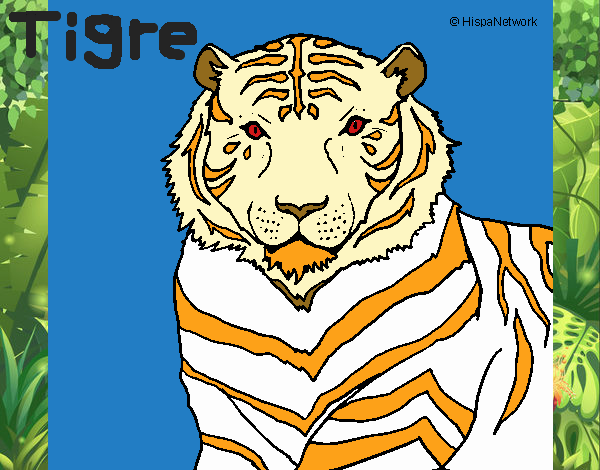 Tigre 3