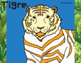 Tigre 3