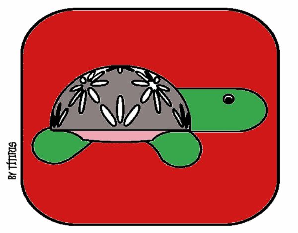 Tortuga 4