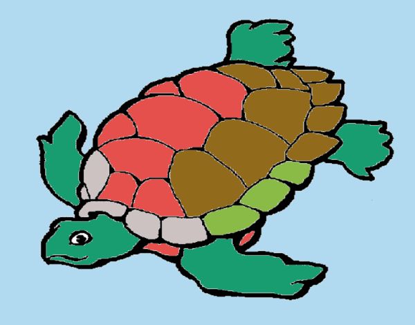 Tortuga