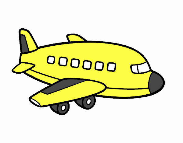 Un avión de pasajeros