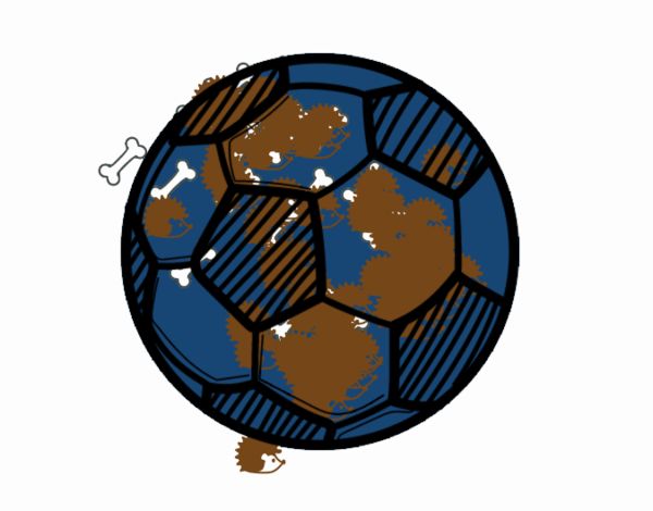 Balón de fútbol