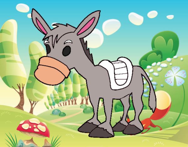 Burro de granja