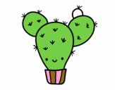 Cactus nopal