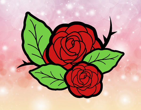 Dos rosas