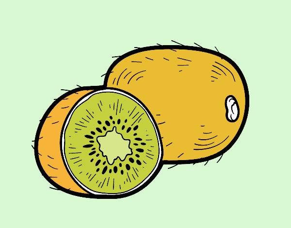 El kiwi