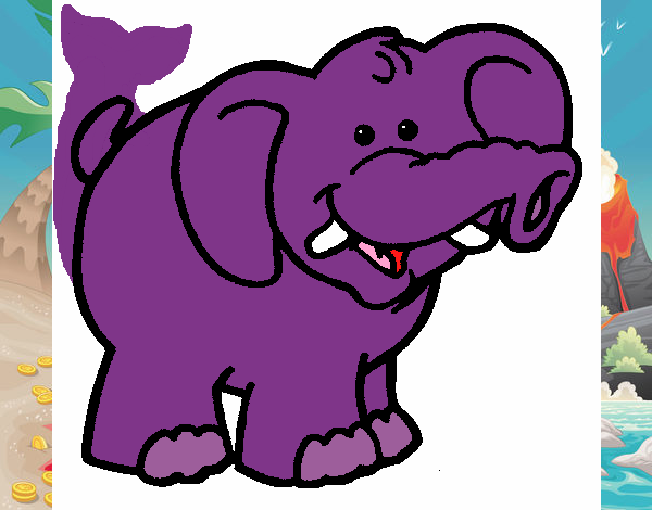 Elefante 6