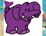 Elefante 6