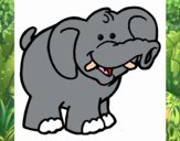 Elefante 6